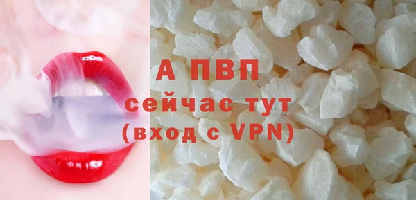 дживик Осташков