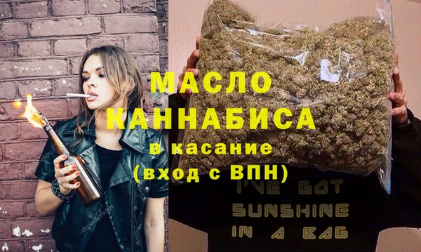 индика Бикин