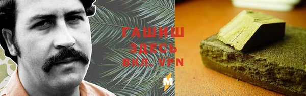 индика Бикин